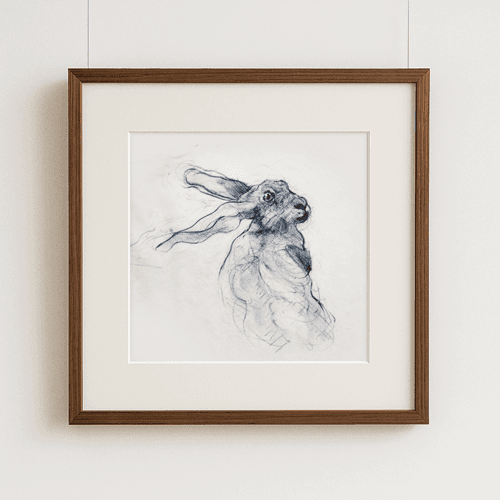 Hare