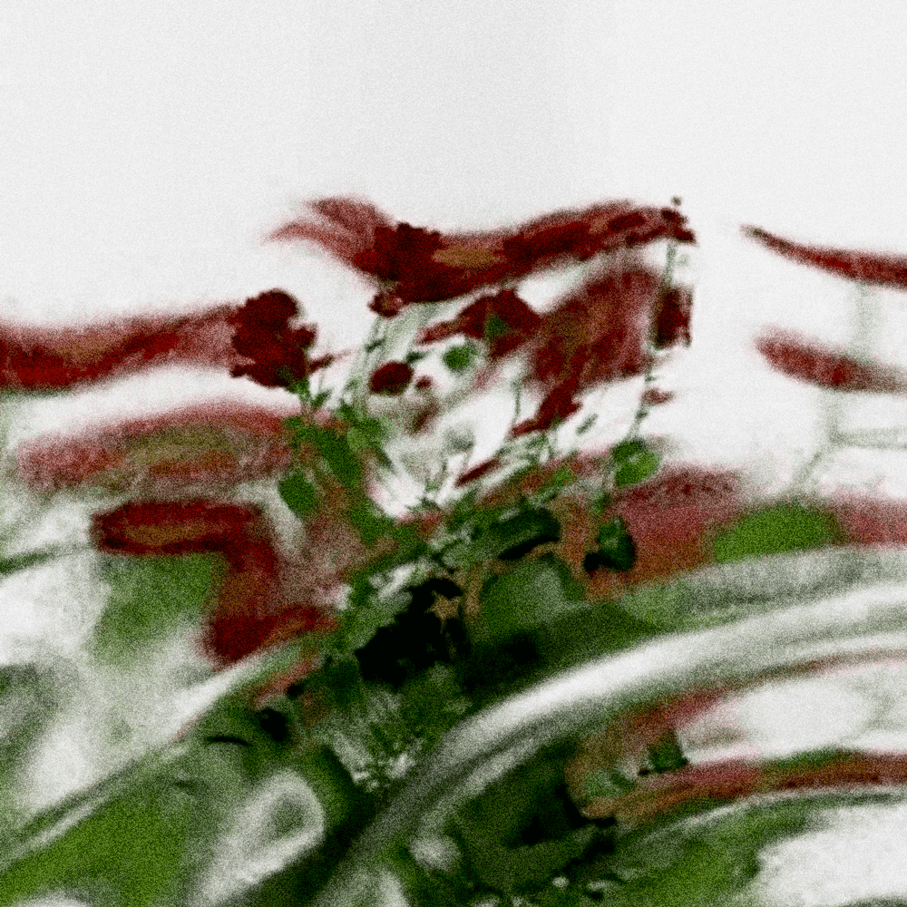 Object_Distortion R&D