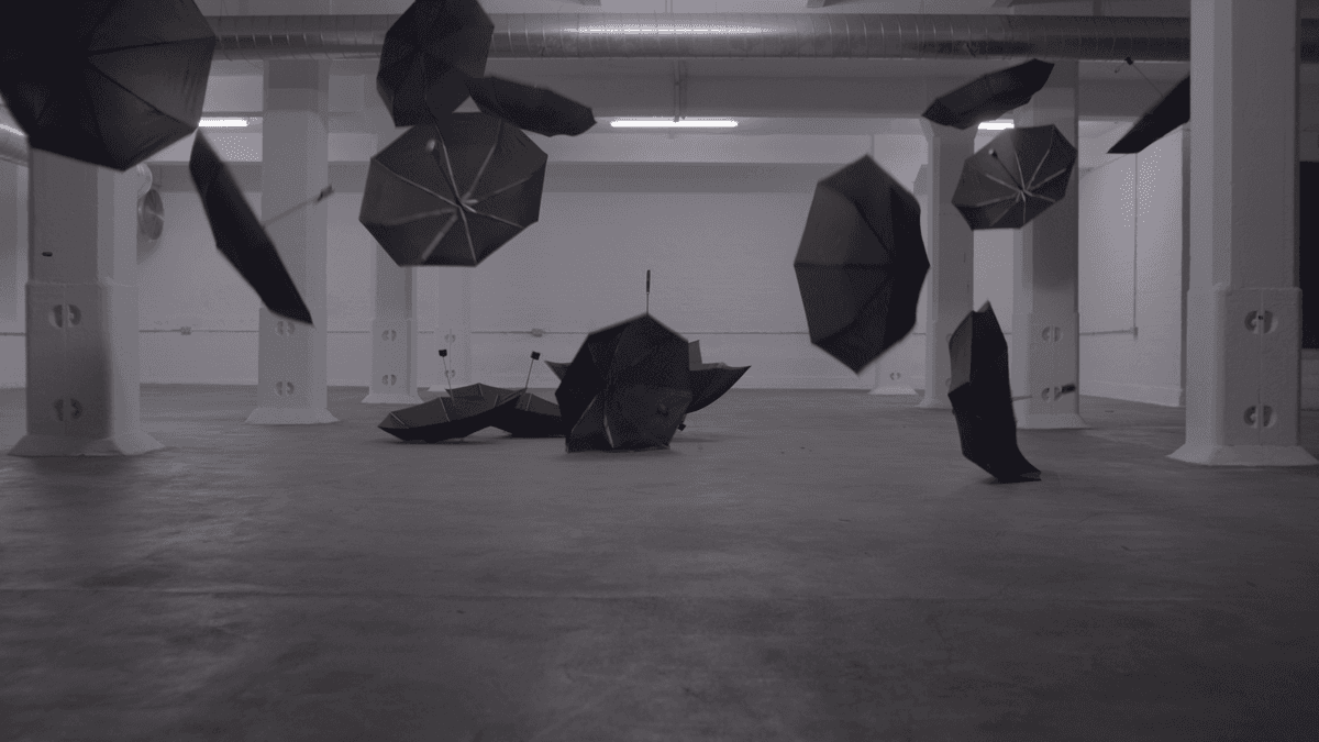 Umbrella