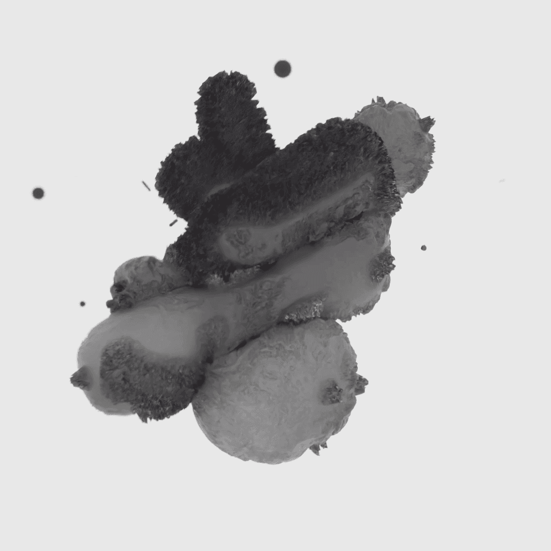 Ash – DYCP